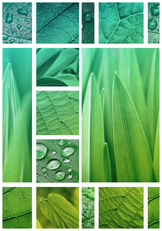 Sustainability-img
